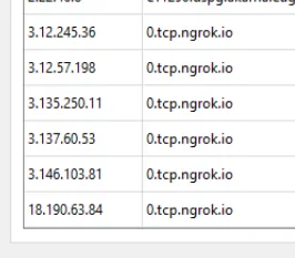 anakus_wireshark.webp