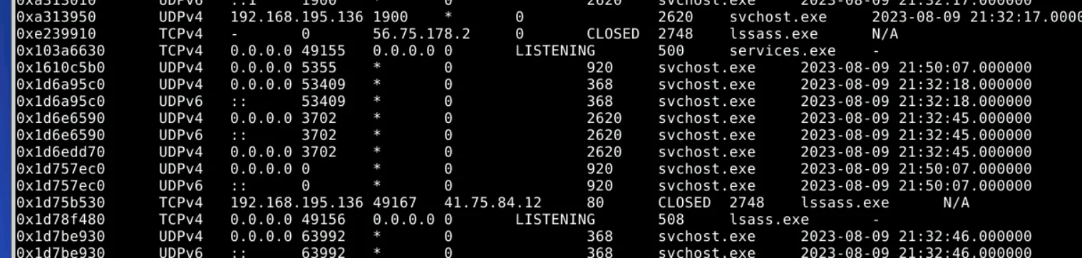 netscan.webp