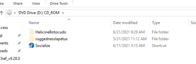Mounted IMG showing two folders and LNK shortcut