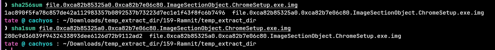 ramnit_sha1.webp